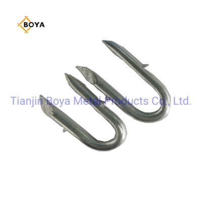 China Supplier U Type Nail with Low Price