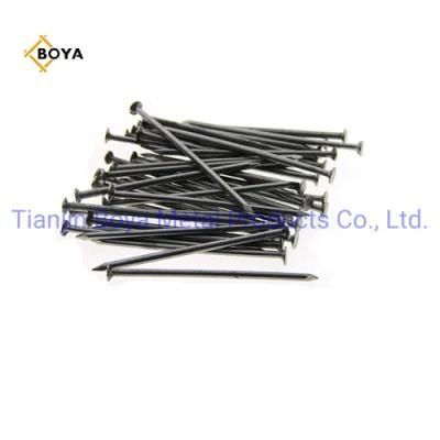 Contruction Nails/ Common Nails/Commom Round Nail/Nail/ Iron Nails / Wire Nails