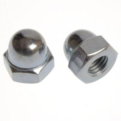 Carbon Stainless Steel Hex Domed Cap Nut/Acorn Nut