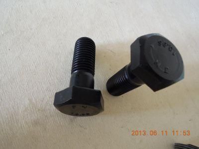 Bolt 8.8 10.9 DIN 931 Black M16 M20 Hex Bolt and Nut