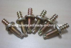 Double Threaded Screw with Torx Head