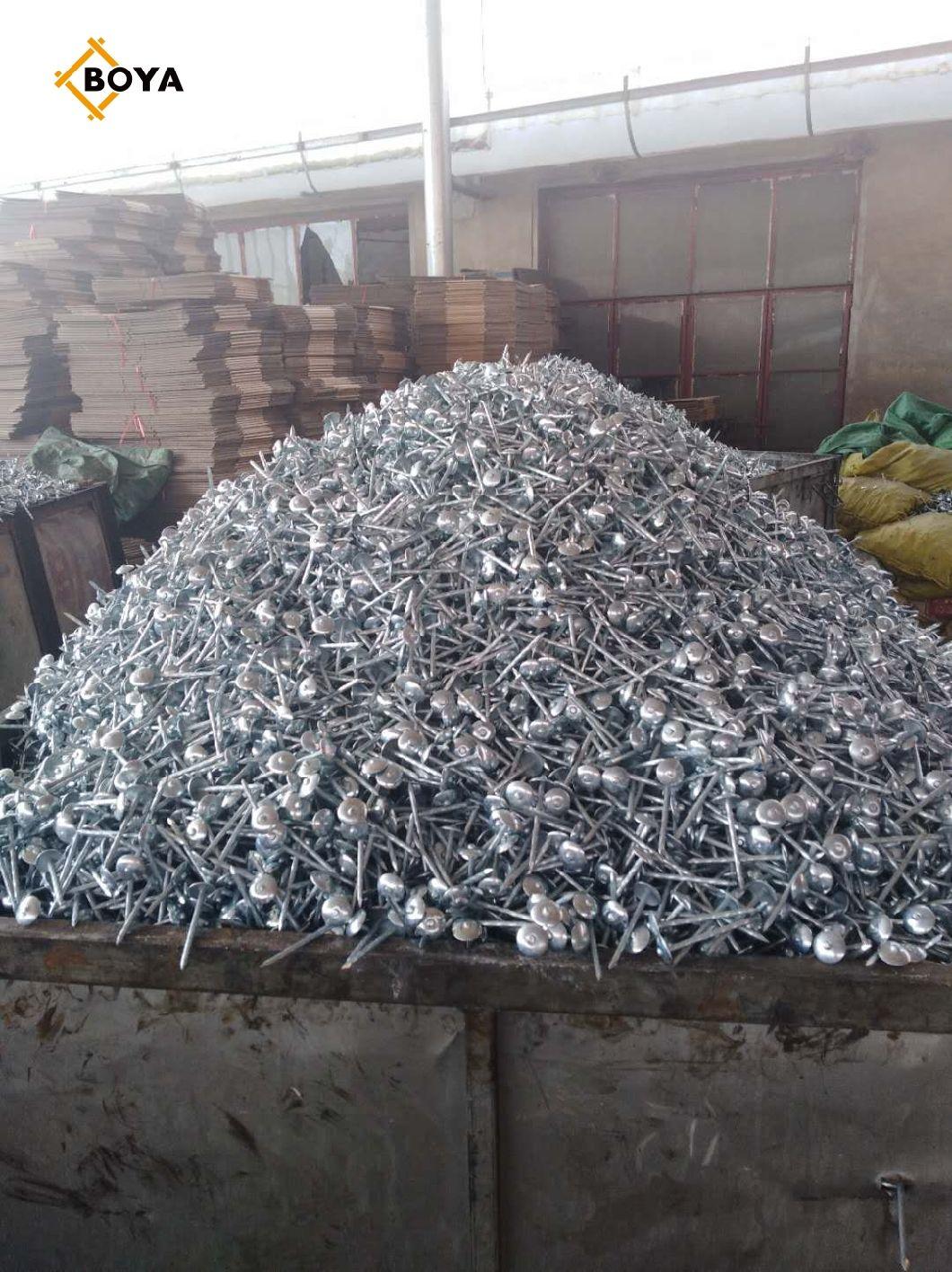 Tianjin Factory Q195 Galvanized Umbrella Head Ring Shank Roofing Nails