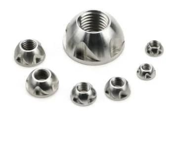 Stainless Steel Tamper Proof Security Nut Anti Theft Nuts