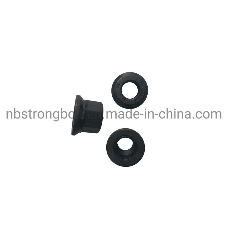 Accept OEM Nonstandard Size Standard Fastener Wheel Nut with Black Phos