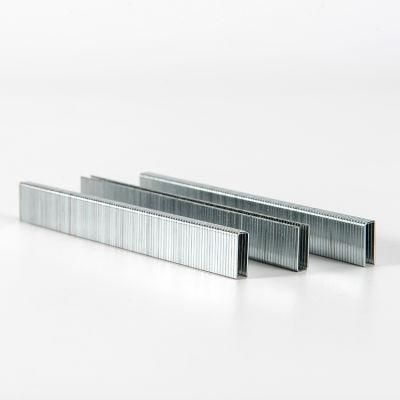Galvanized Wire Material 10j Series Staples From China Used for Sofa Frames