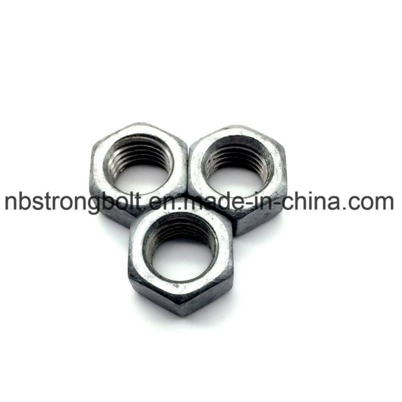 Hex Nut