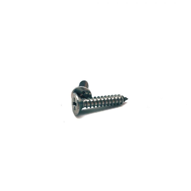 Stainless Steel Cross Recessed Countersunk Head/Csk Self Tapping Screw Fastener Machine Screw