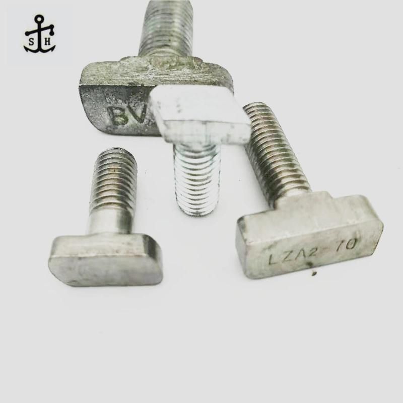 Customized Stainless Steel &Carbon Steel T Hammer Head T Screw Bolts Made in China