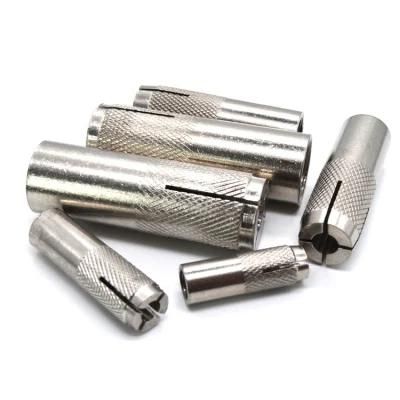 Stainless Steel 316 Drop in Anchor Made in China