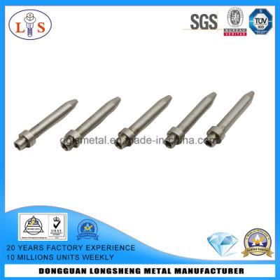 Stainless Steel Specific Rivet with High Quality