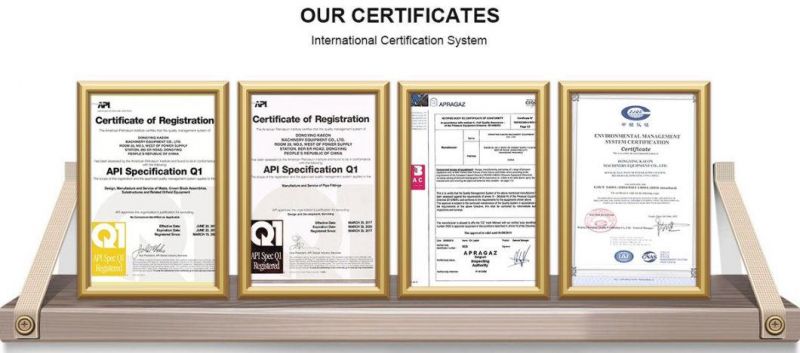 ANSI DIN En BS JIS ISO Forged Steel Socket Weld Flange for Oil Gas Pipeline