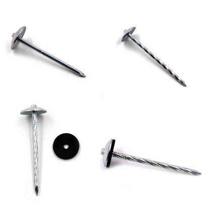 Galvanized Roofing Nails with Umbrella Head for Africa Market 3.125kg 8boxes/CTN