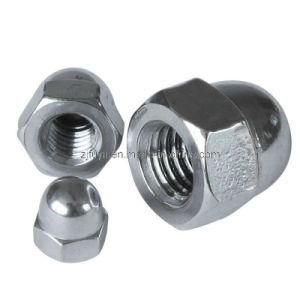 Stainless Steel Cap Nut (FYSF-0020)