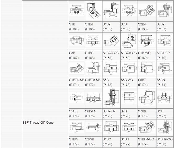 Japanese 60 Degree Cone Bsp BSPT Thread Fitting for Hose