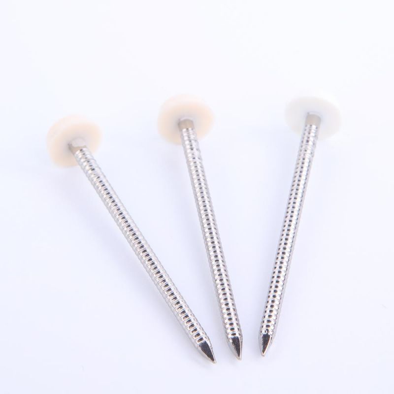 DIN GB Hot Sale Roofing Nails Nine Inch Nails China Nails PNG Ms11001