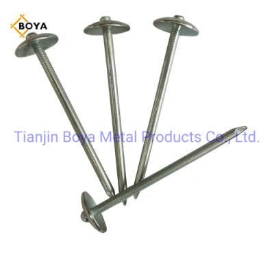 Roofing Nail/Umbrella Nail/Umbrella Head Nail/Clout Nail/Galvanized Roofing Nail