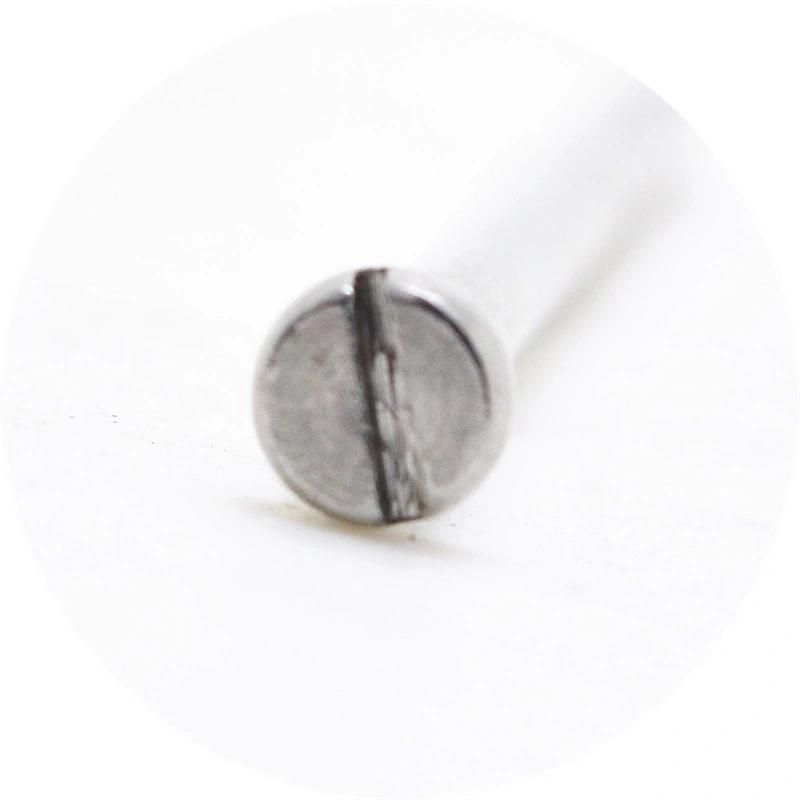 Stainless Steel Slotted Pan Head Screw