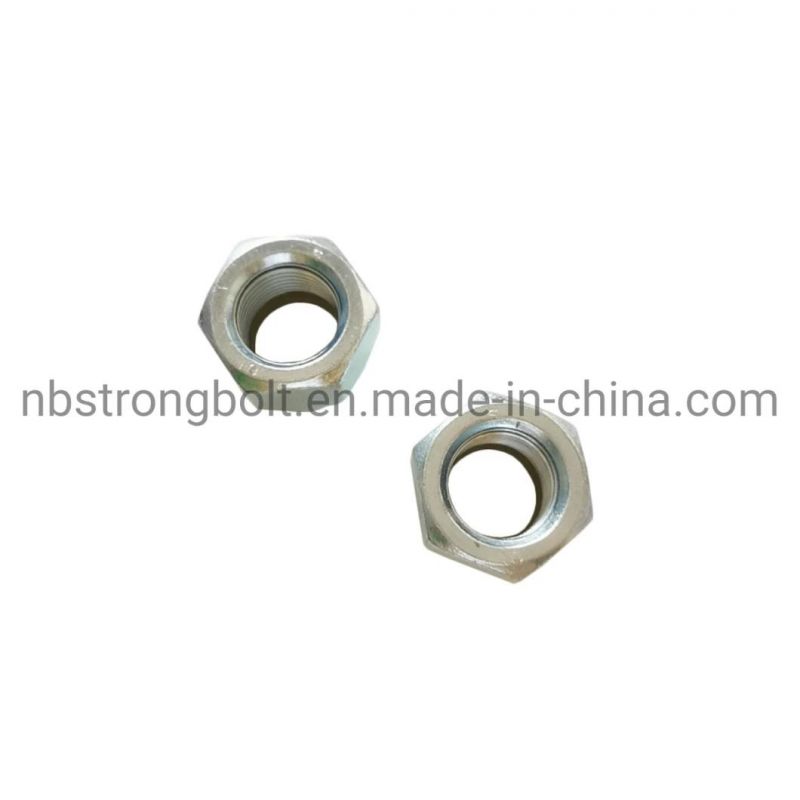 Nylon Nut M24X2-ISO10512-B-Class 10-White Zinc Cr3+