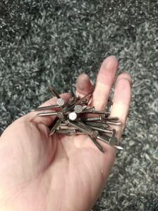 Polished Iron Wire Nails Manufacturer