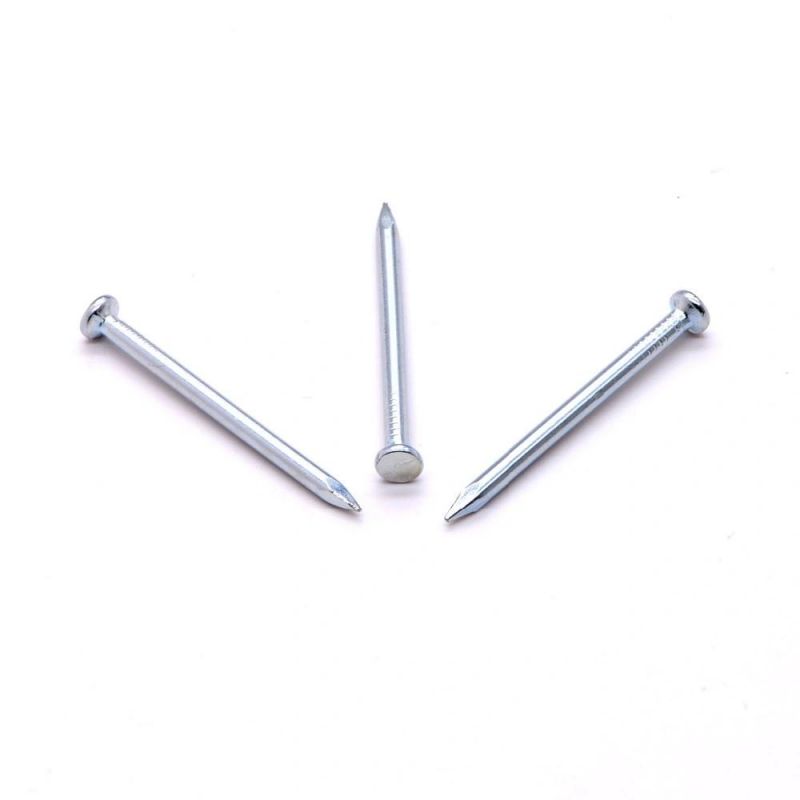 Most Popular Concrete Steel Nail 25mm Nails Electro Galvanized Concrete Steel Nail