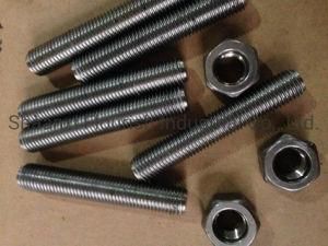 Stainless Steel A193 B8 Stud Bolt with Hex. Nut