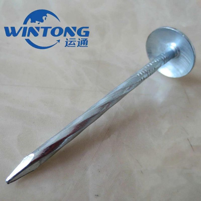 Galvanized Roofing Nail/Rubber Padded Plain Rod Roofing Nail/Polished Galvanized