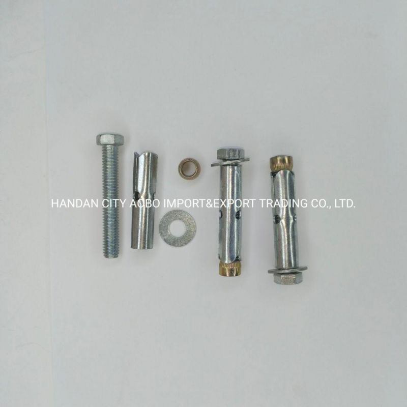 China Supplier Israel Type Sleeve Anchor L/C/O Type