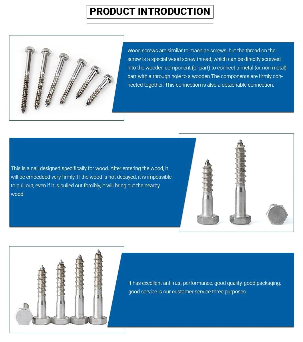 Stainless Steel DIN 571 M4-M20 Coach Screw Allen Hex Wood Screw