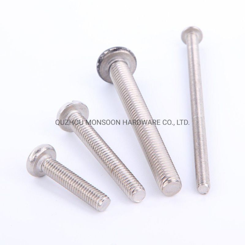 Stainlesss Steel Philips Head Slotted Head Machine Screws