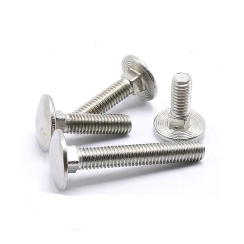 China Fastener Stainless Steel HDG Lowes Extra Large Head Plow Bolt and Nuts 1/2 M4 M5 M8 M6 High Strength DIN603 Carriage Bolthot Sale Products3 Buyers