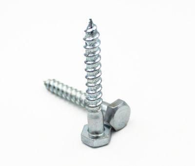 Galvanized Hex Head Self Tapping Screw From Guangzhou