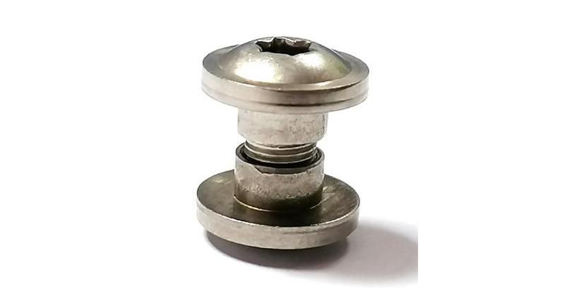 Special Stainless Steel 304 Torx Truss Washer Head Chicago Screw