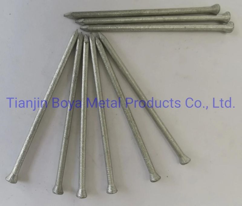 Hot DIP Galvanized Iron Wire/Galvanized Steel Nail/Hot DIP Galvanized Steel Iron Nail