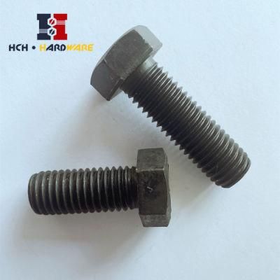 Stainless Steel Carriage Hex Bolt