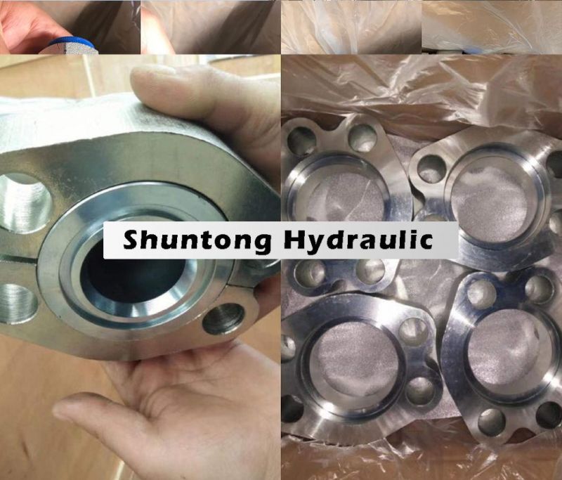 OEM/ODM China Price Factory Ningbo Hydraulic S-Series Flange Clamps