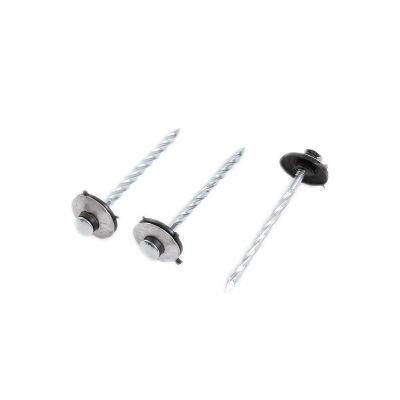 Cheap Price Q195 Common Round Iron Nail/Wire Nail/Building Metal Nail/Iron Nail/Polished Nail/Steel Nails/Wooden Nail/Galvanized Concrete Nail