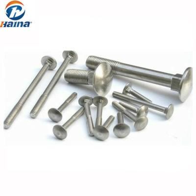 Stock Stainless Steel 304 316 Carriage Bolts -5
