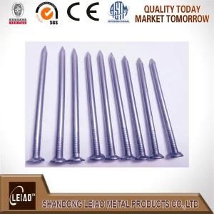 Common Round Head Nail with Good Price