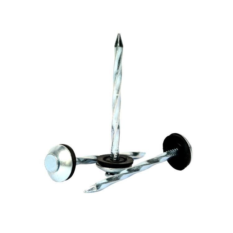 Mushroom Head Roofing Nail From Guangzhou Supplier