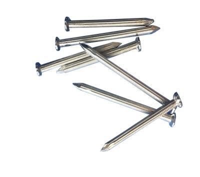 Steel Nails Steel Concrete Nails of Galvanized/Polished Hardware Wire Nails