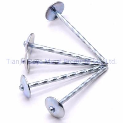 Bwg9*2.5&quot; Umbrella Head Twist/Smooth Shank Roofing Iron Nail