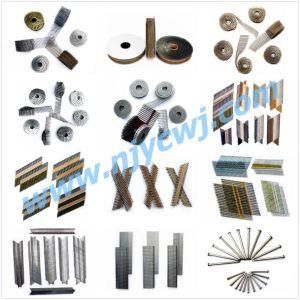 Steel Nails for Construction Manufacturer in China