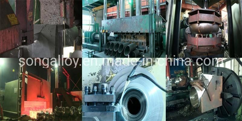 Stainless Steel Stub End (A403-304/316L, 310)