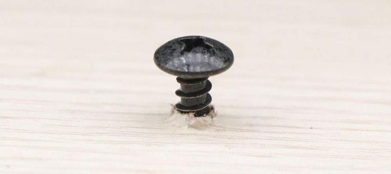 Mushroom Head Coarse Thread Cross Recess Zinc Steel Woodworking Screws