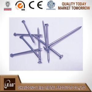 Common Polished Wire Nail Iron Nail