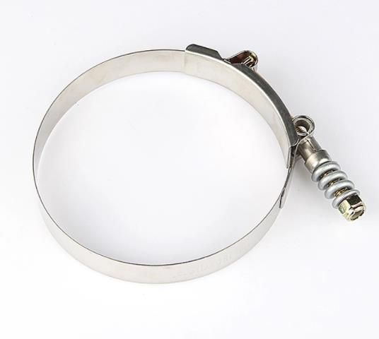 Made in China T-Bolt Spring Loaded Clamps