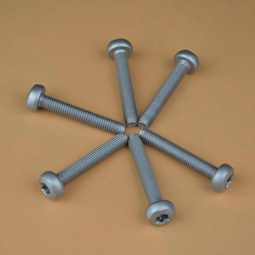 Self Tapping Screw Torx Screw Garden Machinery Screw Sealing Screw