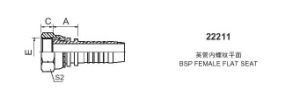 BSP Hose Fitting (22211)