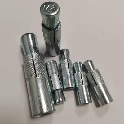 Stainless Steel 304/316 Drop in Anchor Strong Anchor Factory Price