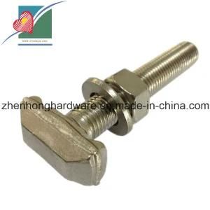 Stainless Steel T Type Bolt with Nuts and Washer (ZH-FB-074)